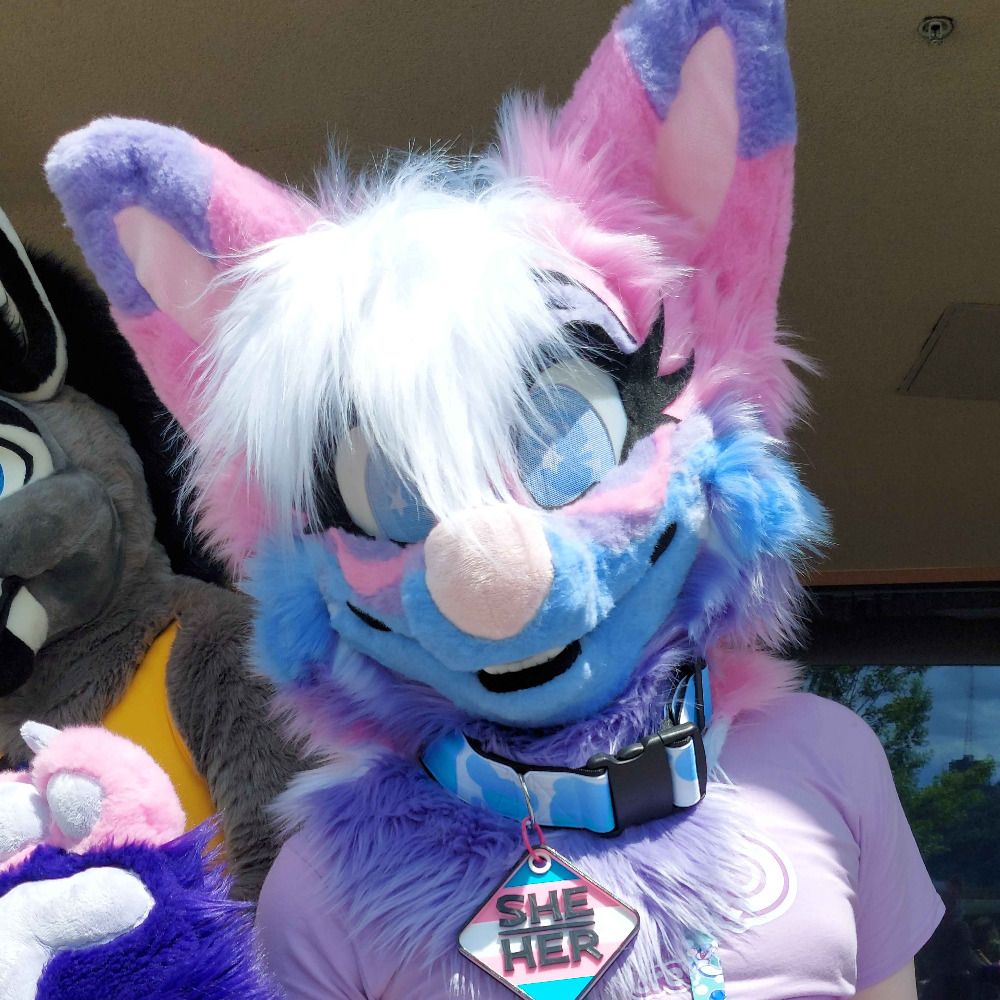 Local Cat 🔜 Canfurence