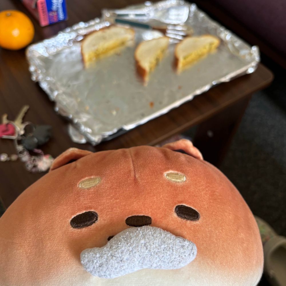 blopp