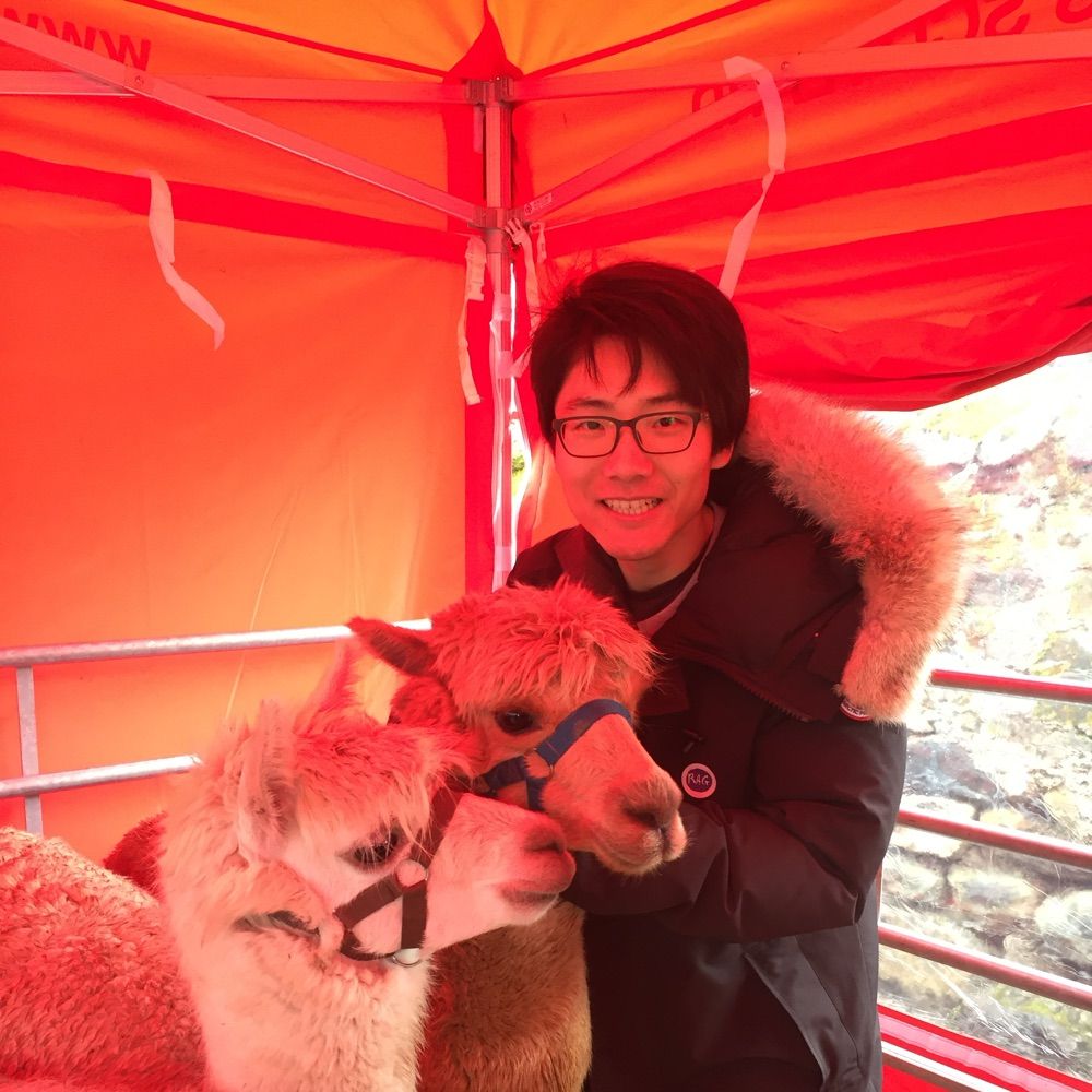 Wenlong Zhu