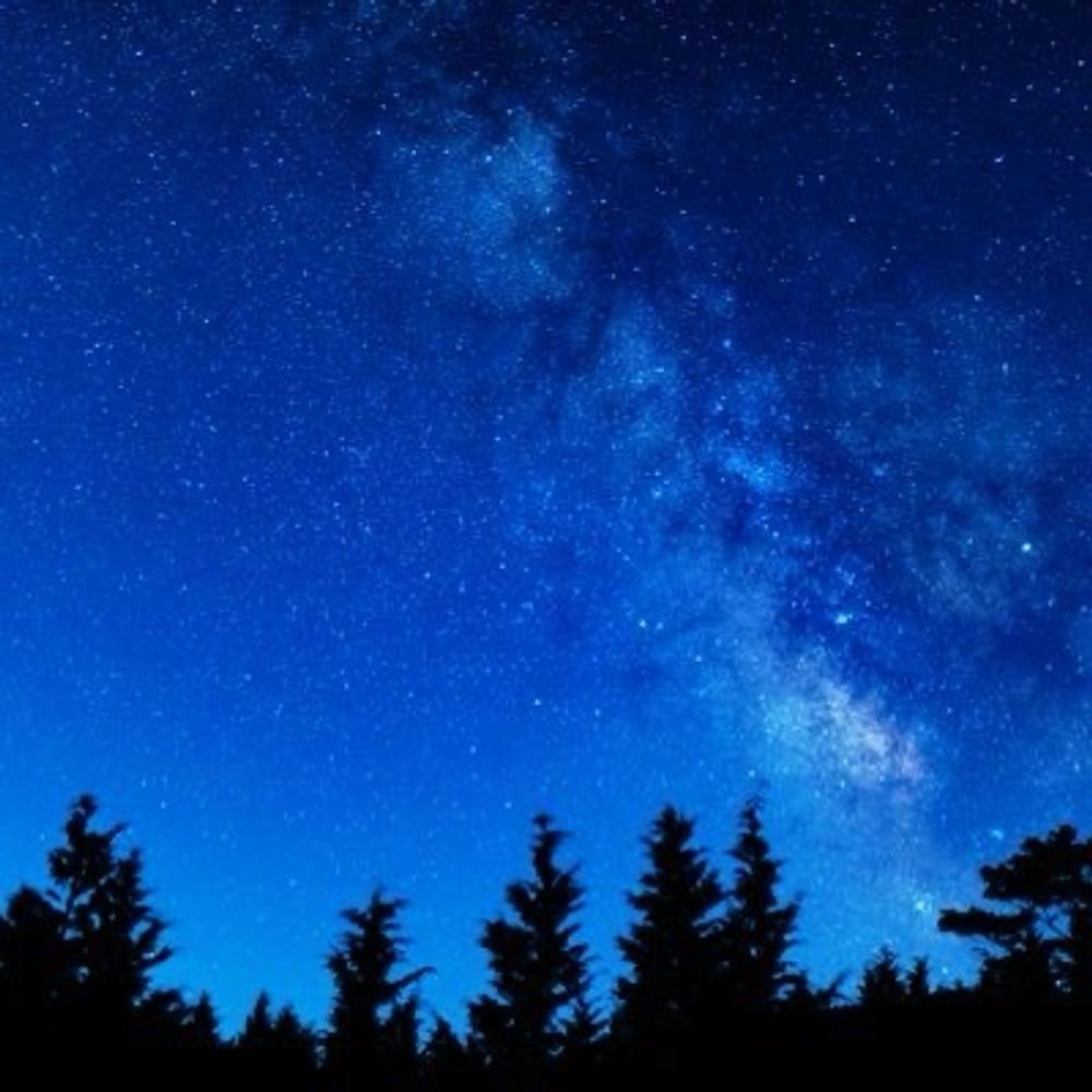 夜