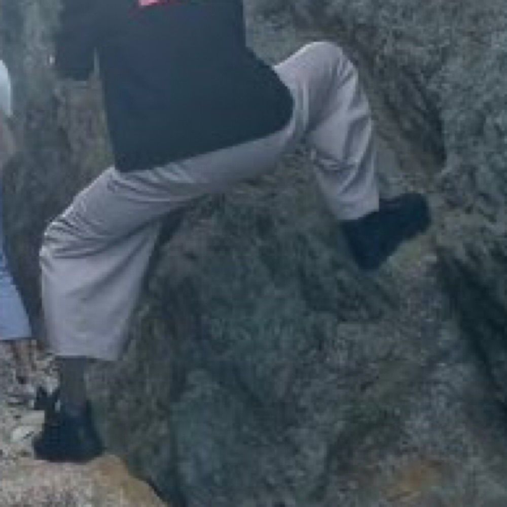 まり藻