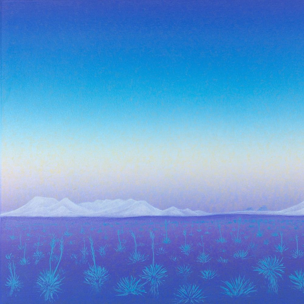 Diana Simard