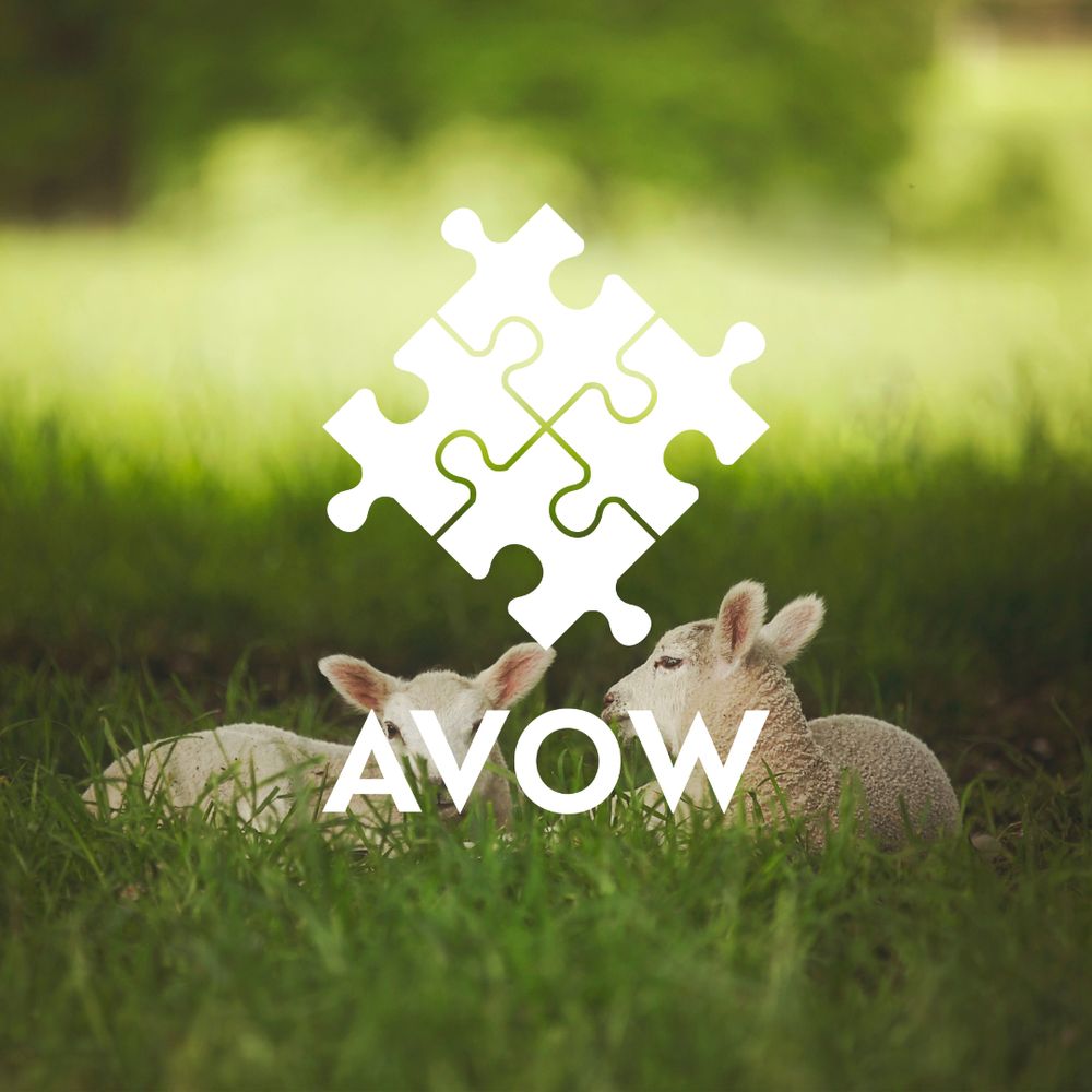 AVOW - Association of Voluntary Organisations, Wrexham