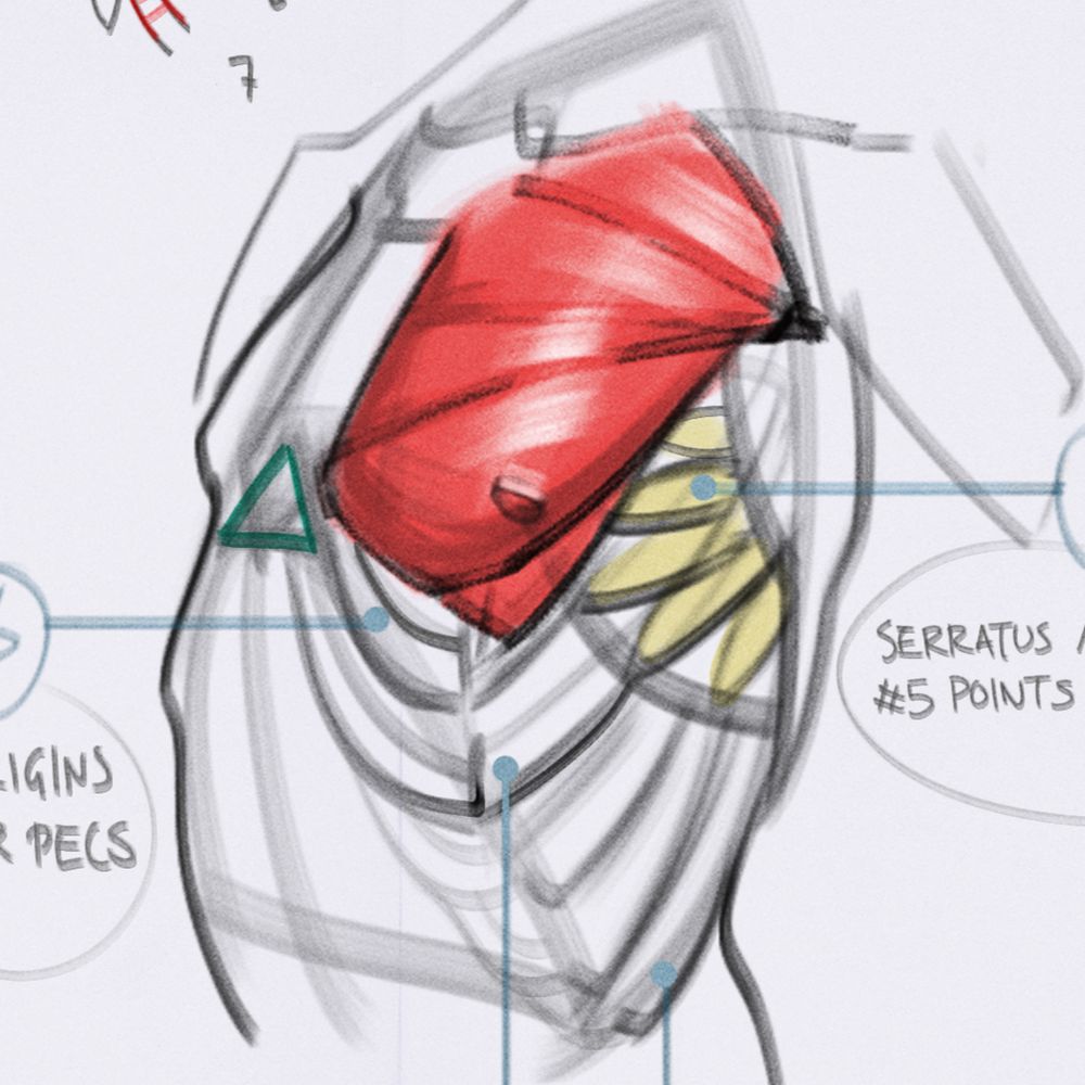 notes.on.form