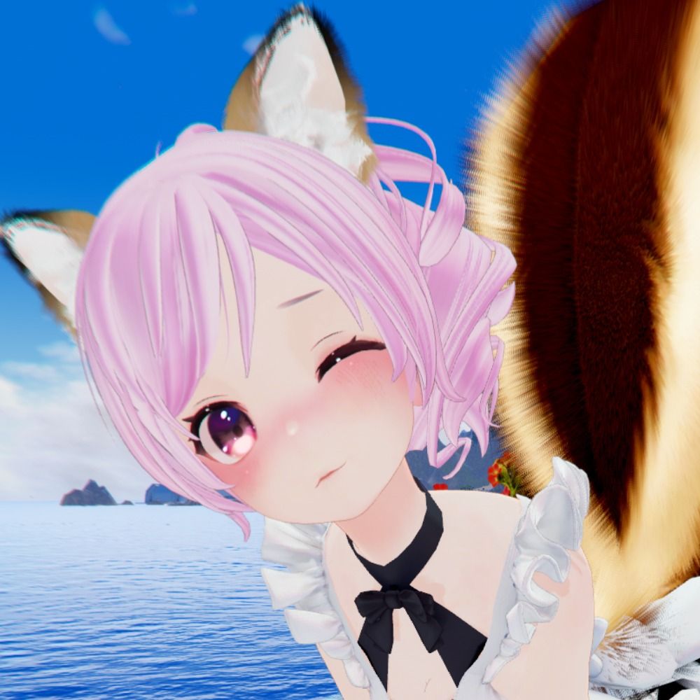 Rins VRC