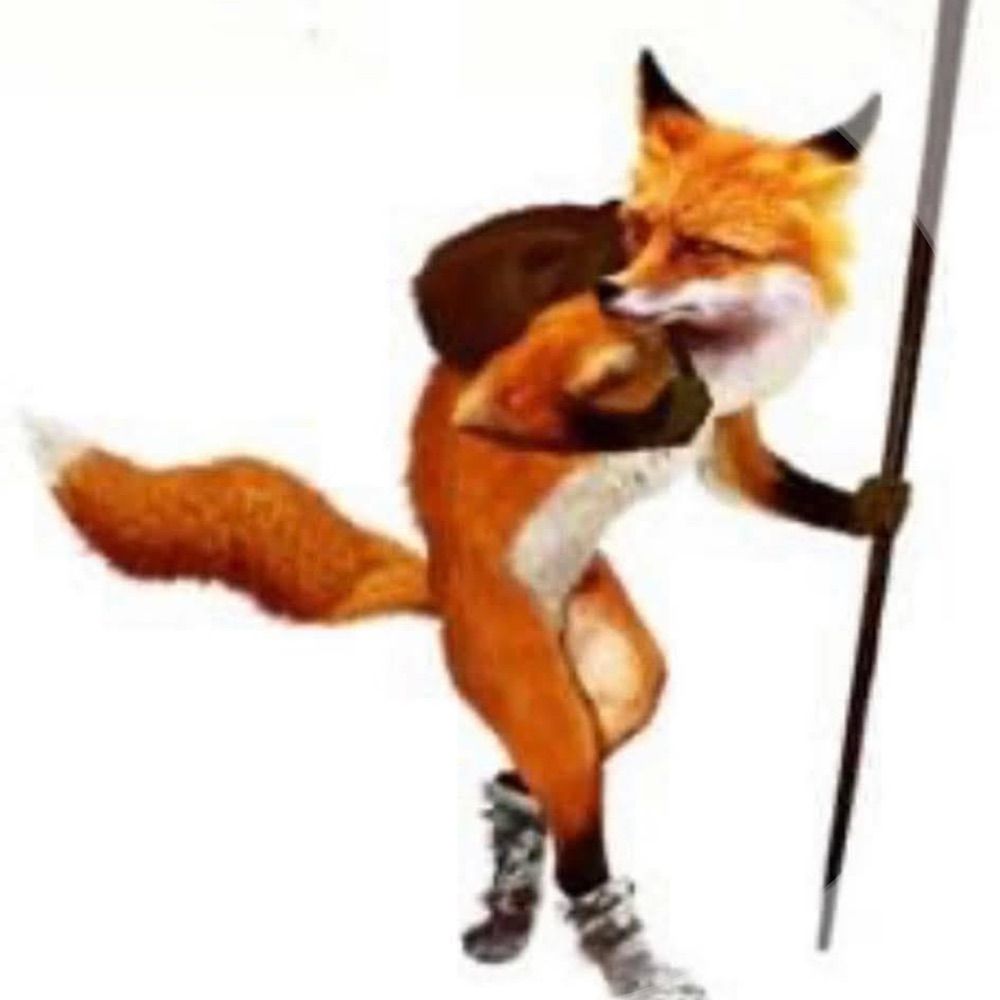 Willem Fox
