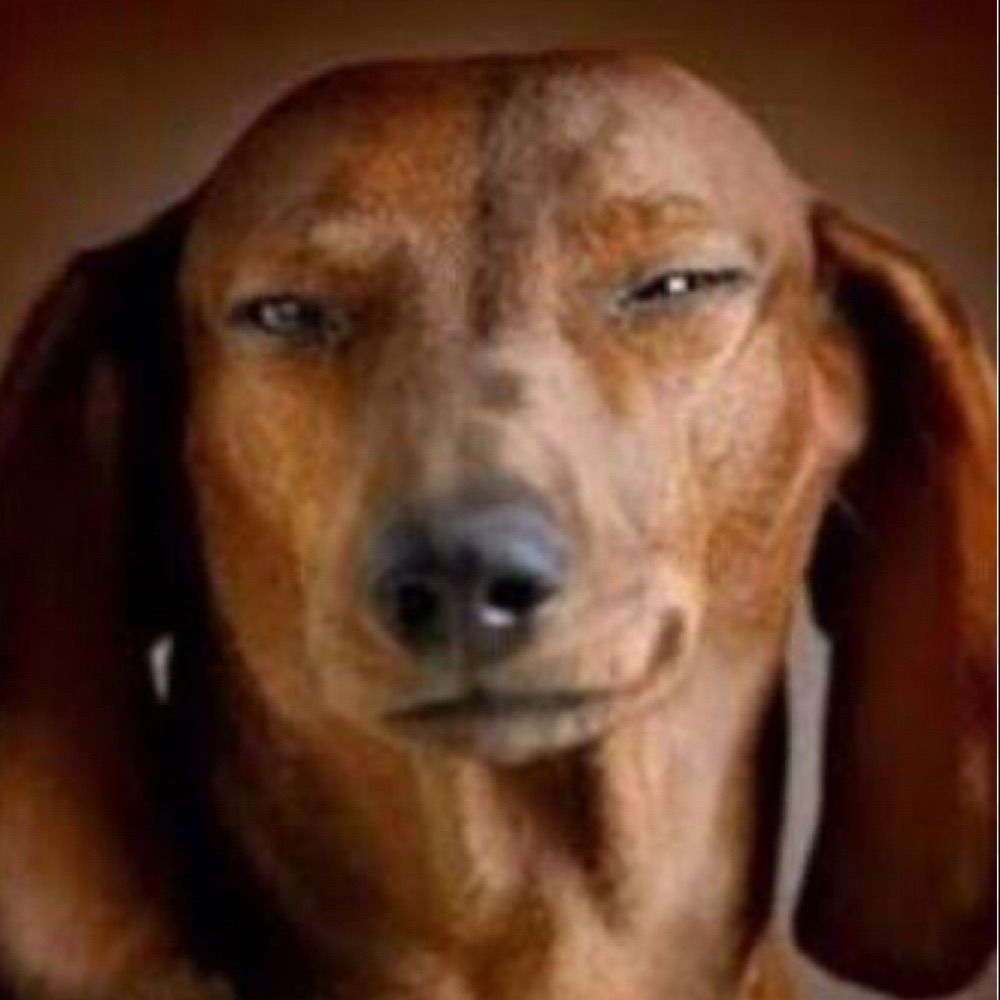 Chapadog 