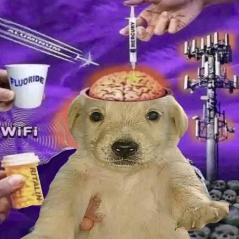 Beanzo