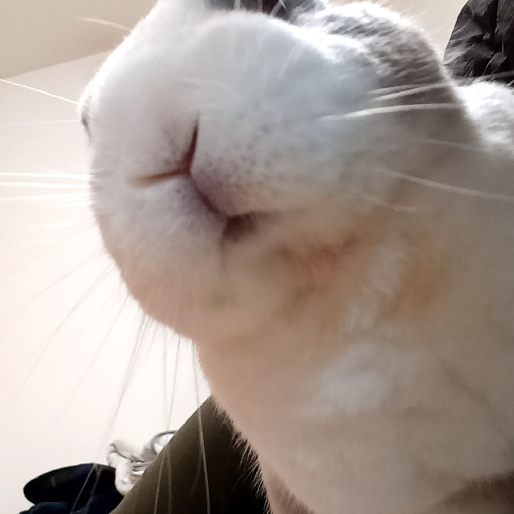 りょうこ