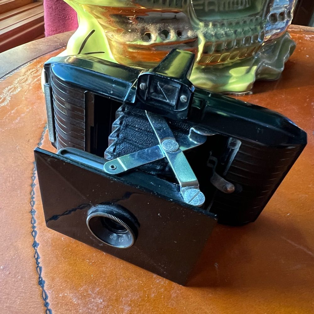 Froschphoto