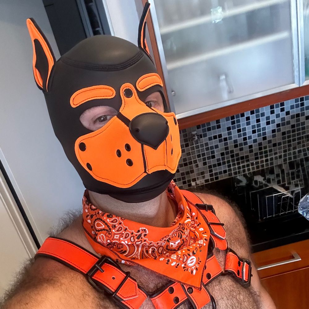 Pup Kaðall