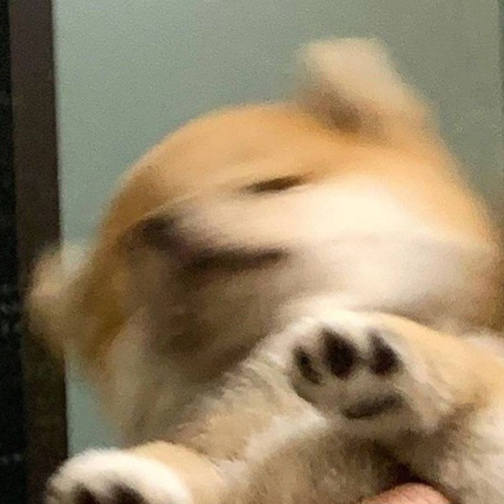 와덩