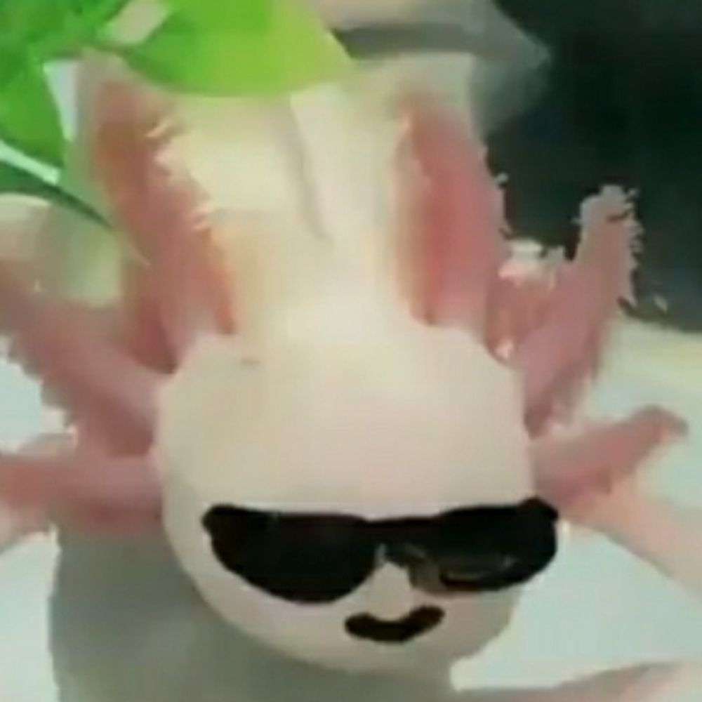 LiterallyFishy