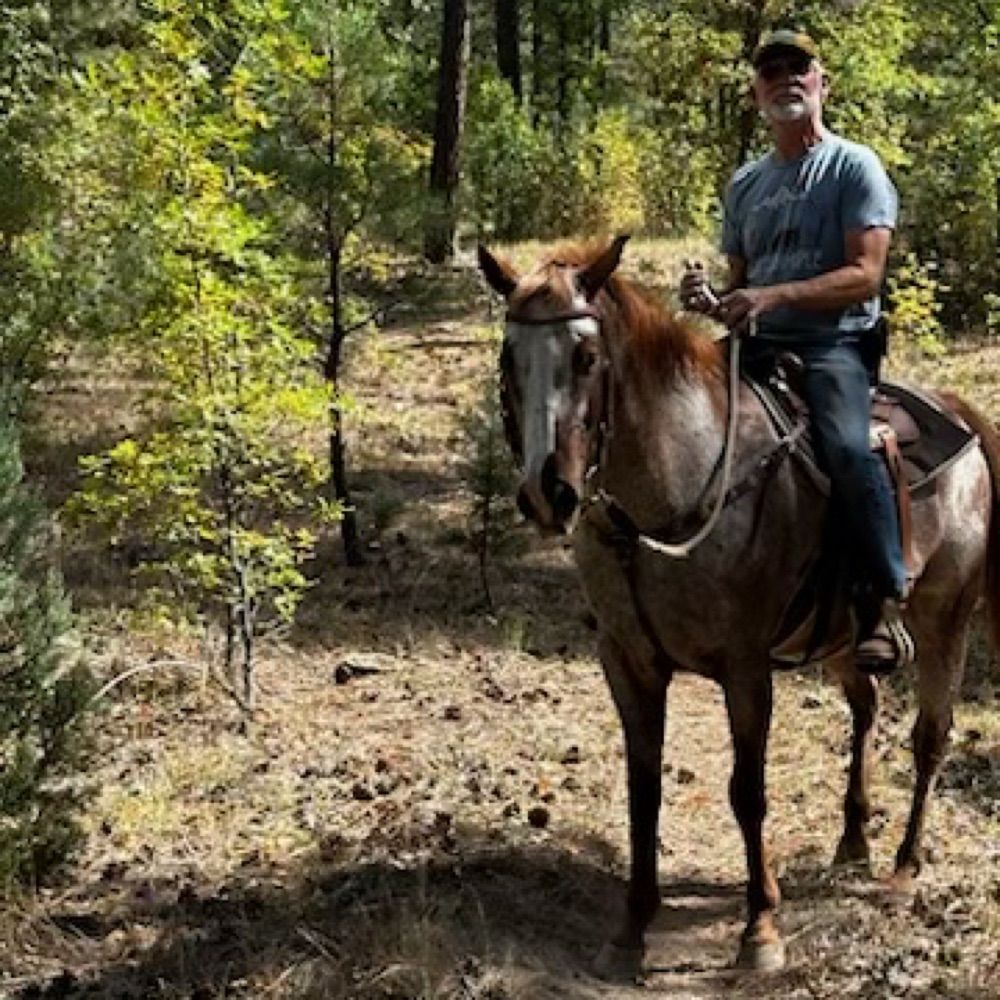 ausiejoe.bsky.social