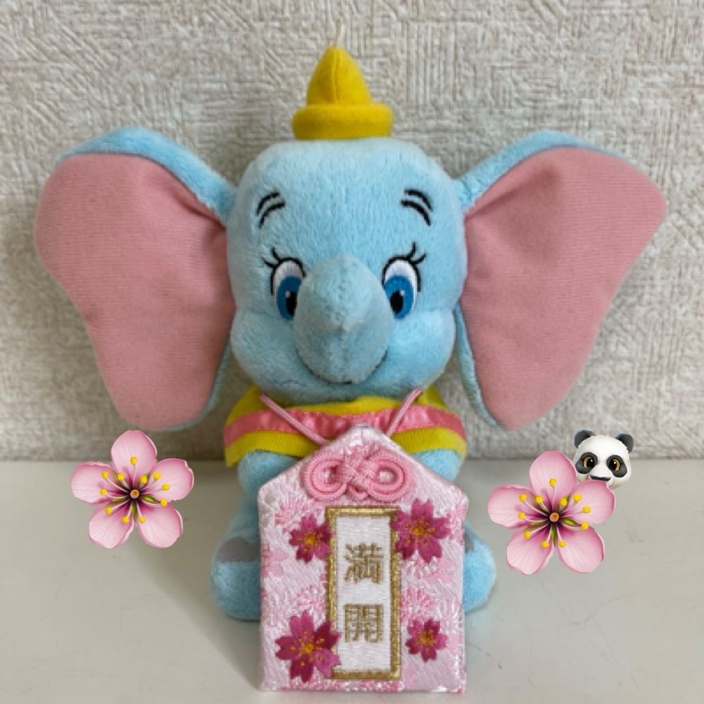 もたん🌸