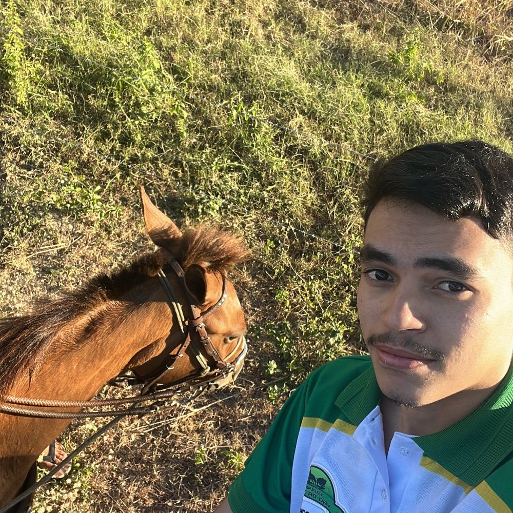 Ferinha 