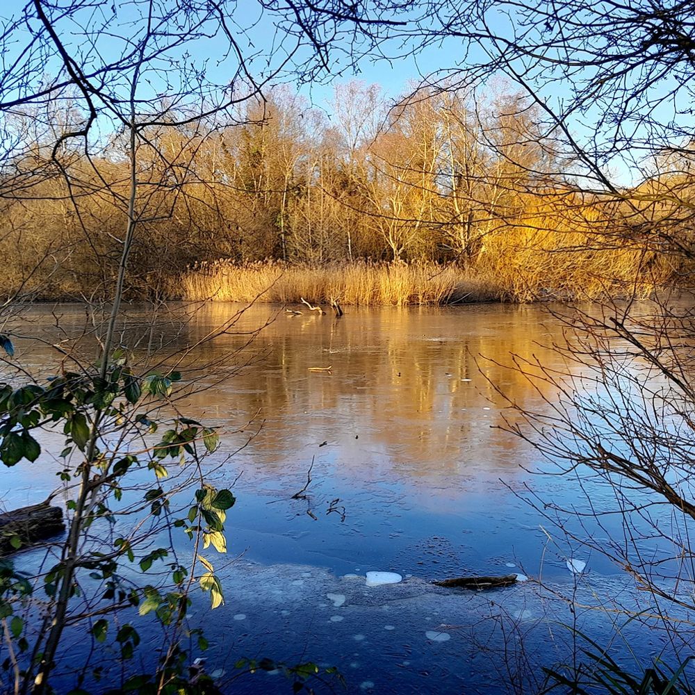 Open Water Swimming