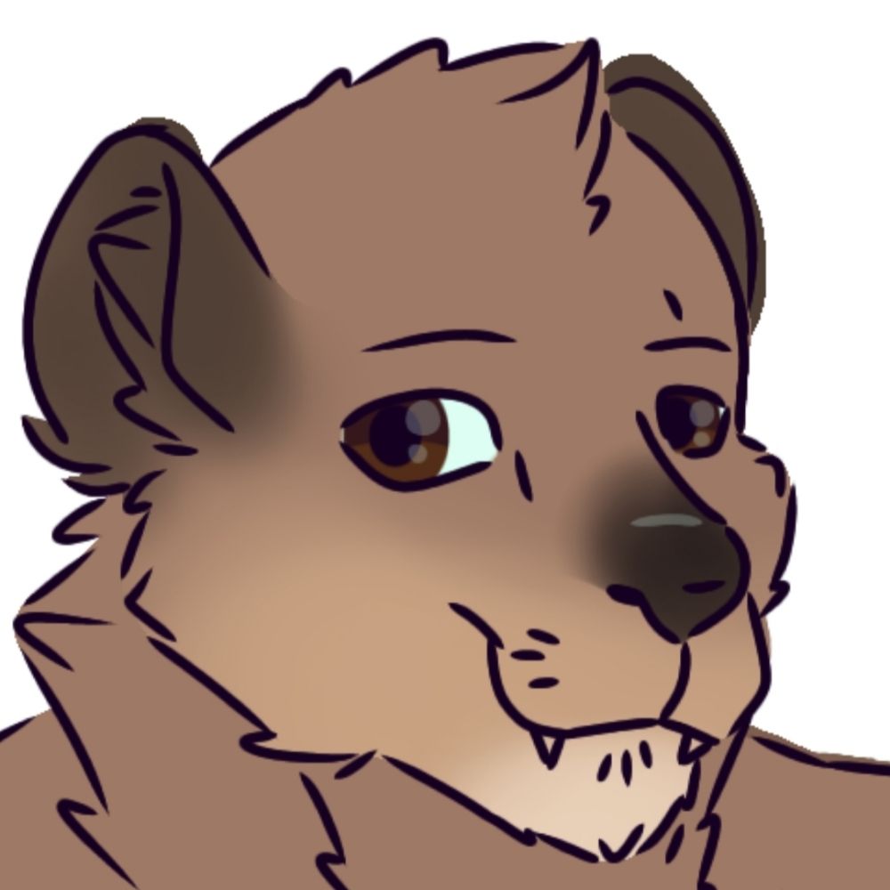 Nico the Hyrax