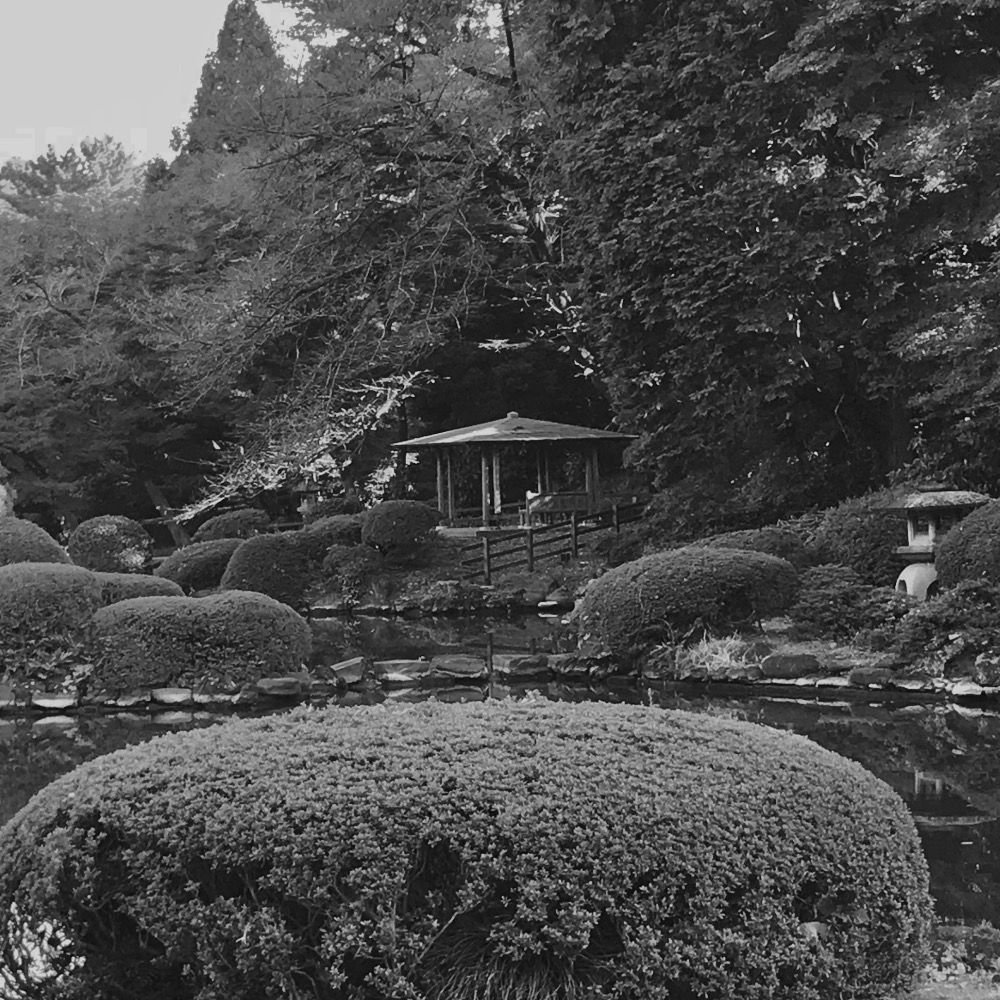 Azumaya san  東家