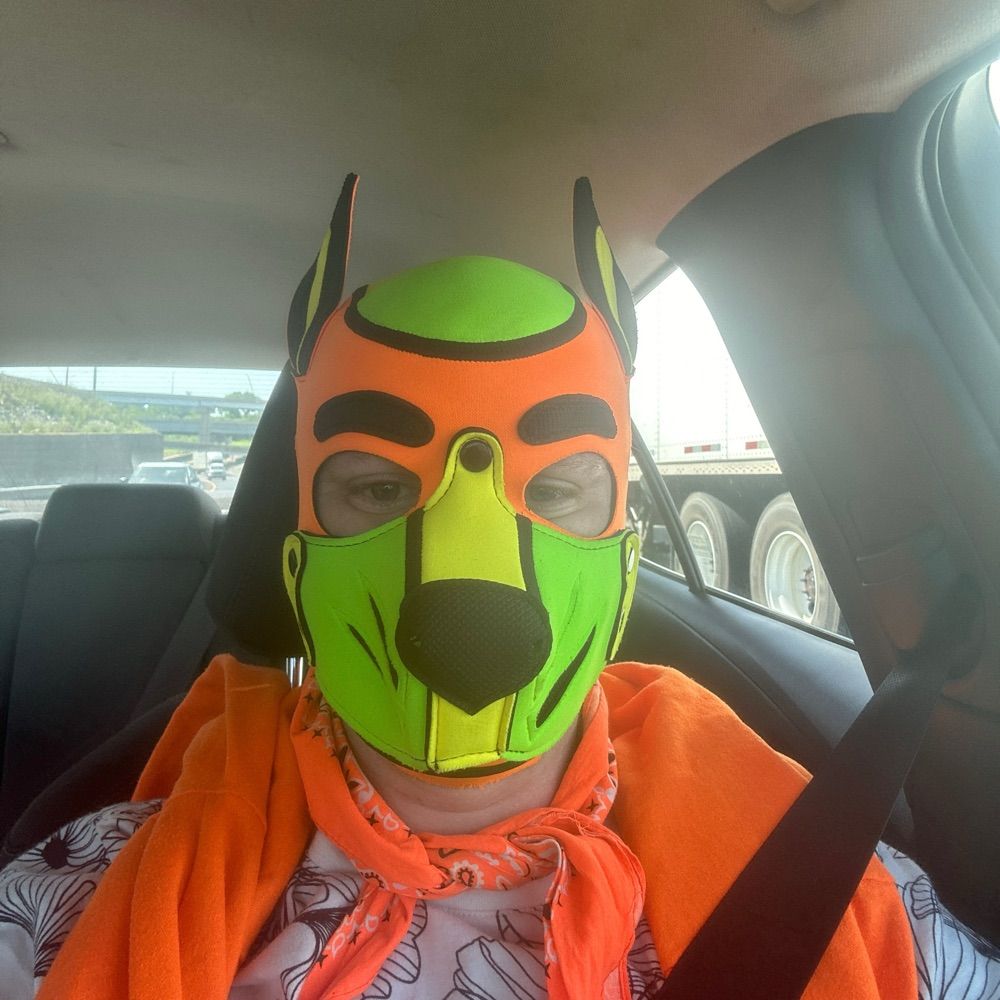 PupNeon