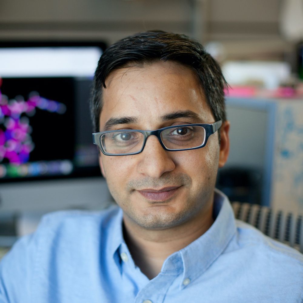 Gaurav Bhardwaj