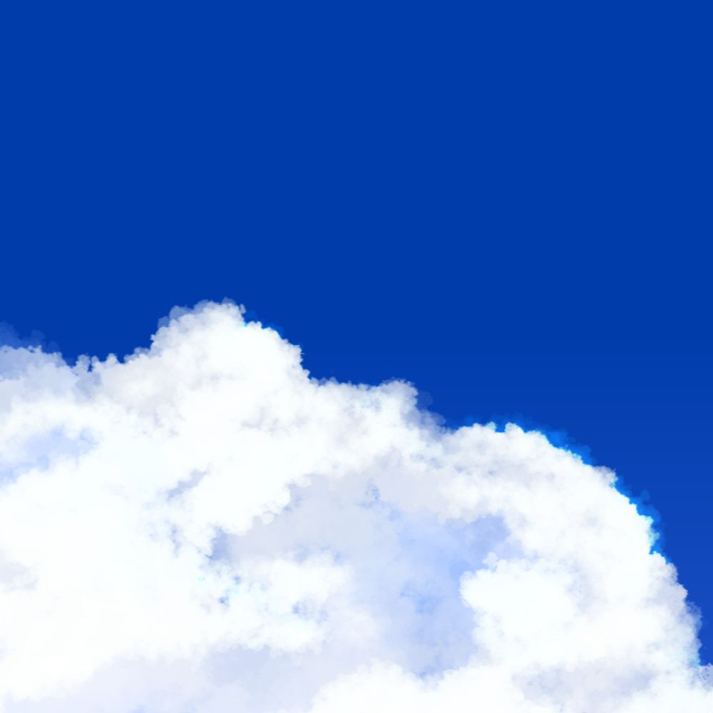 蝦