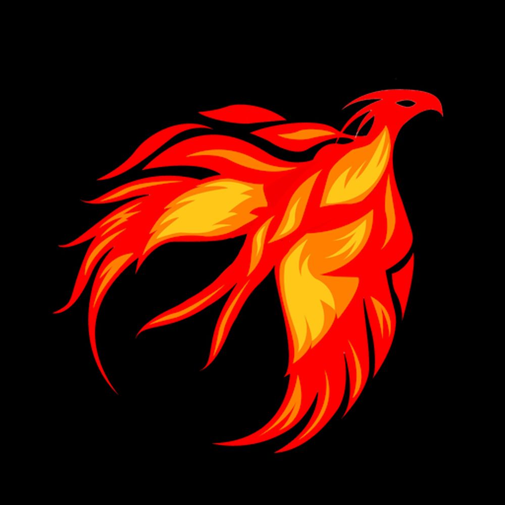 Phoenixsaysstuff