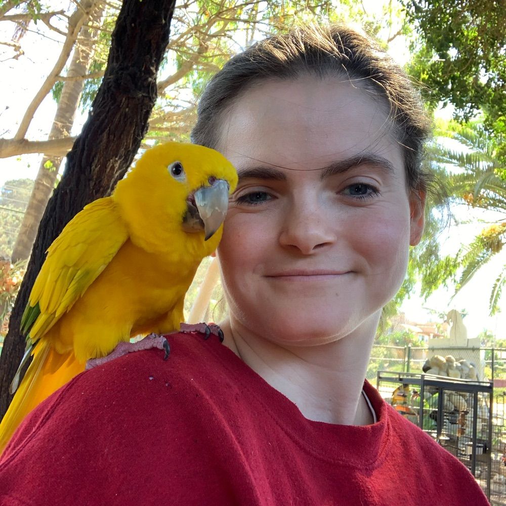 phofie