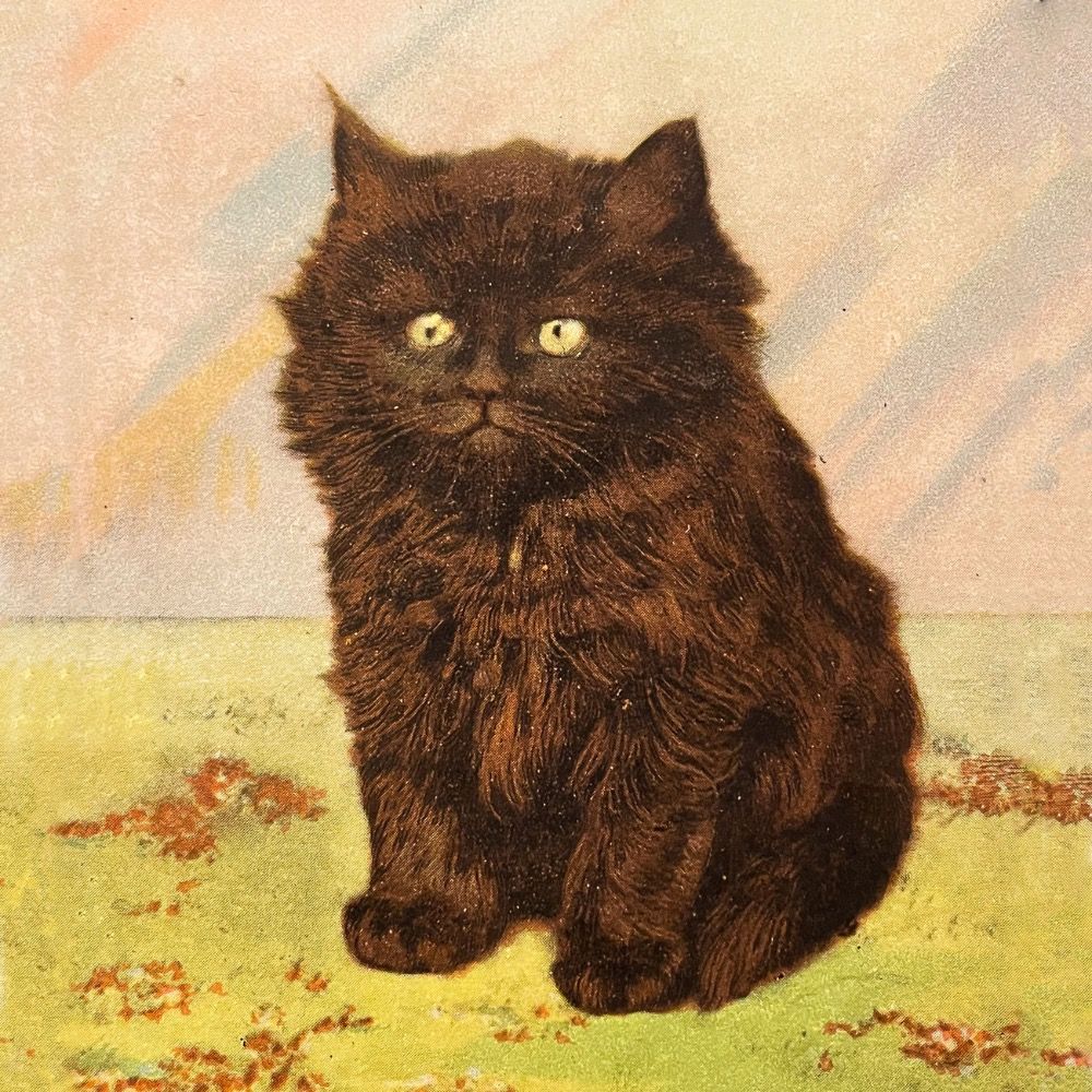 Cats of Yore