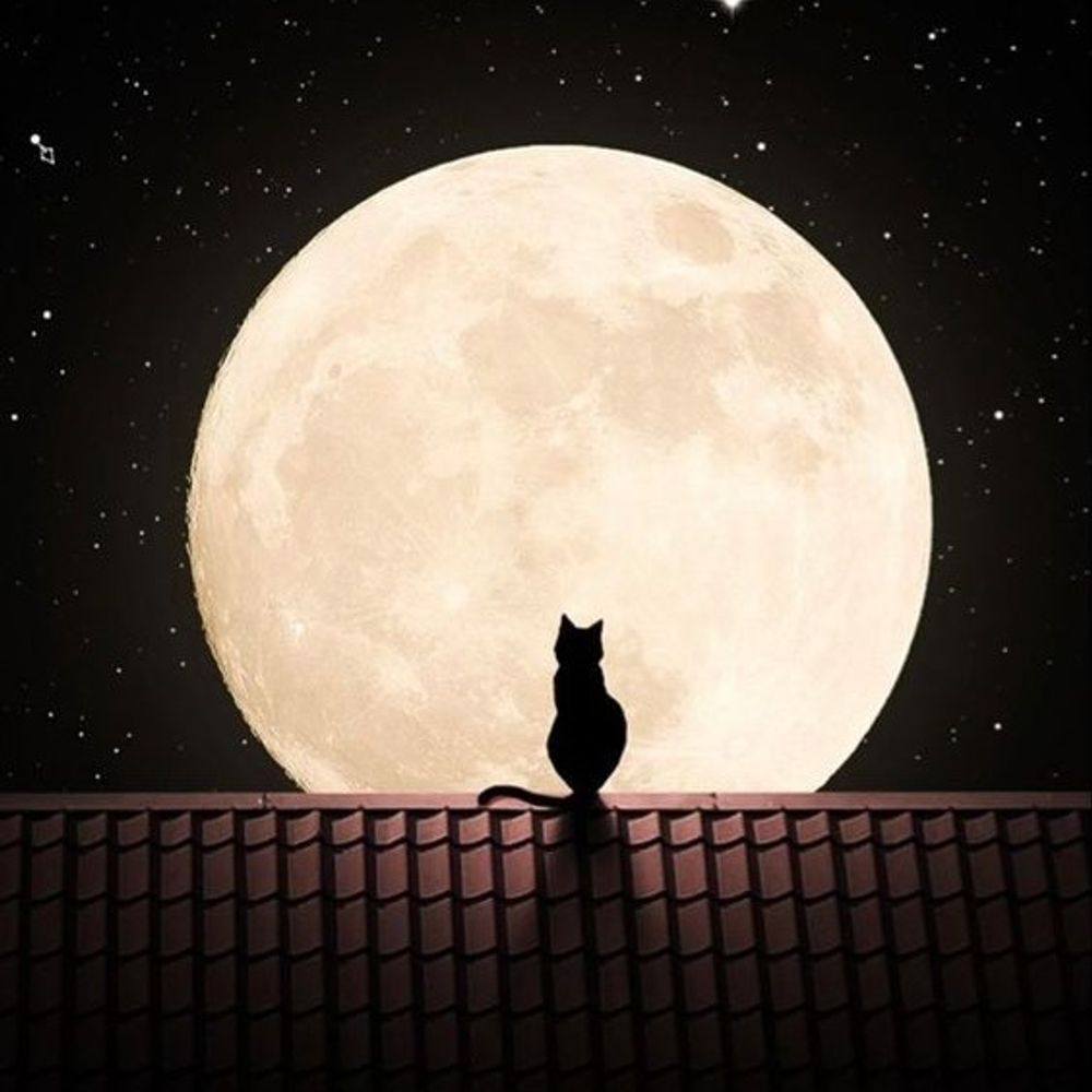 ൬oonĐancer
