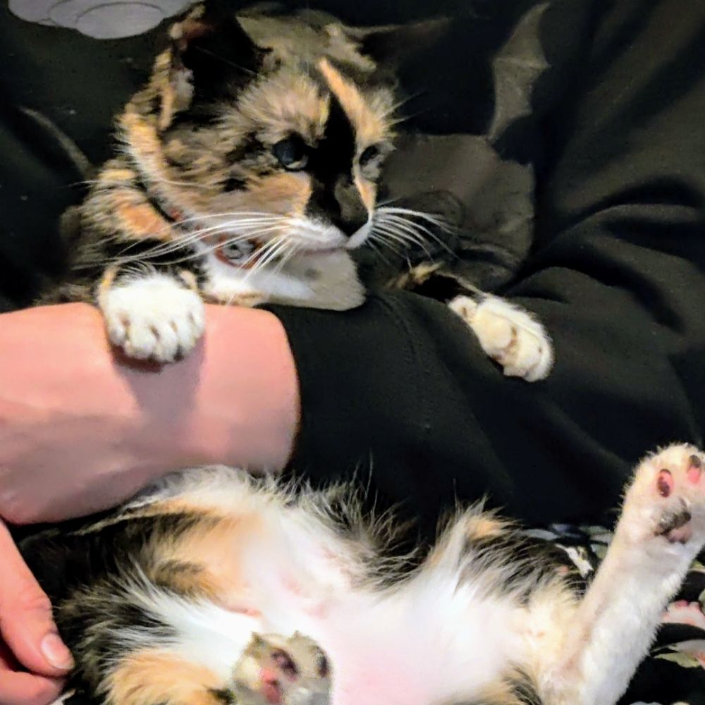 Coco