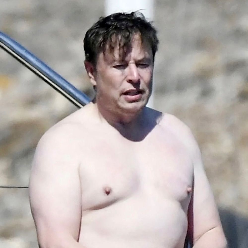 Hi, I’m Elons Musk