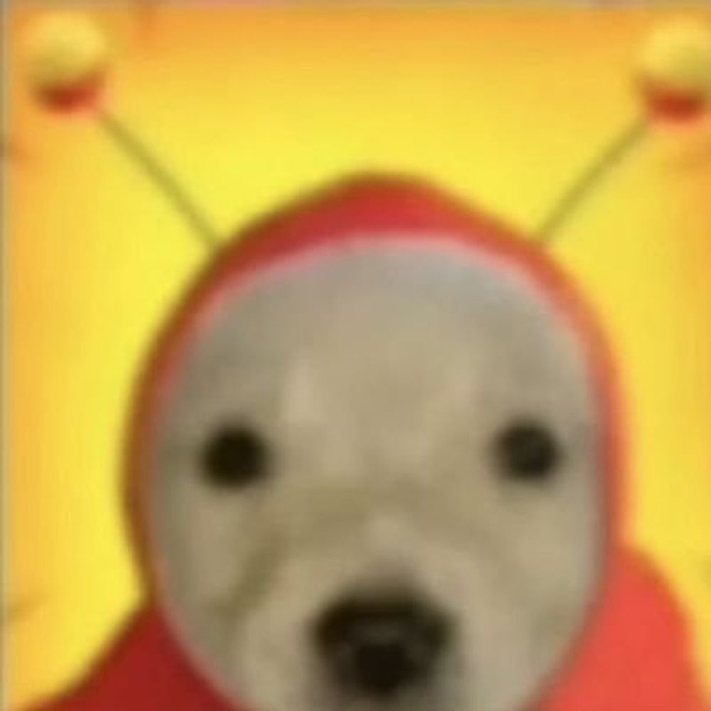 뇽비