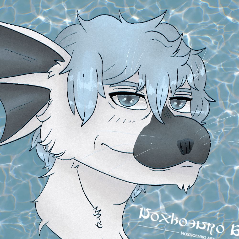 Noxhoenro Art