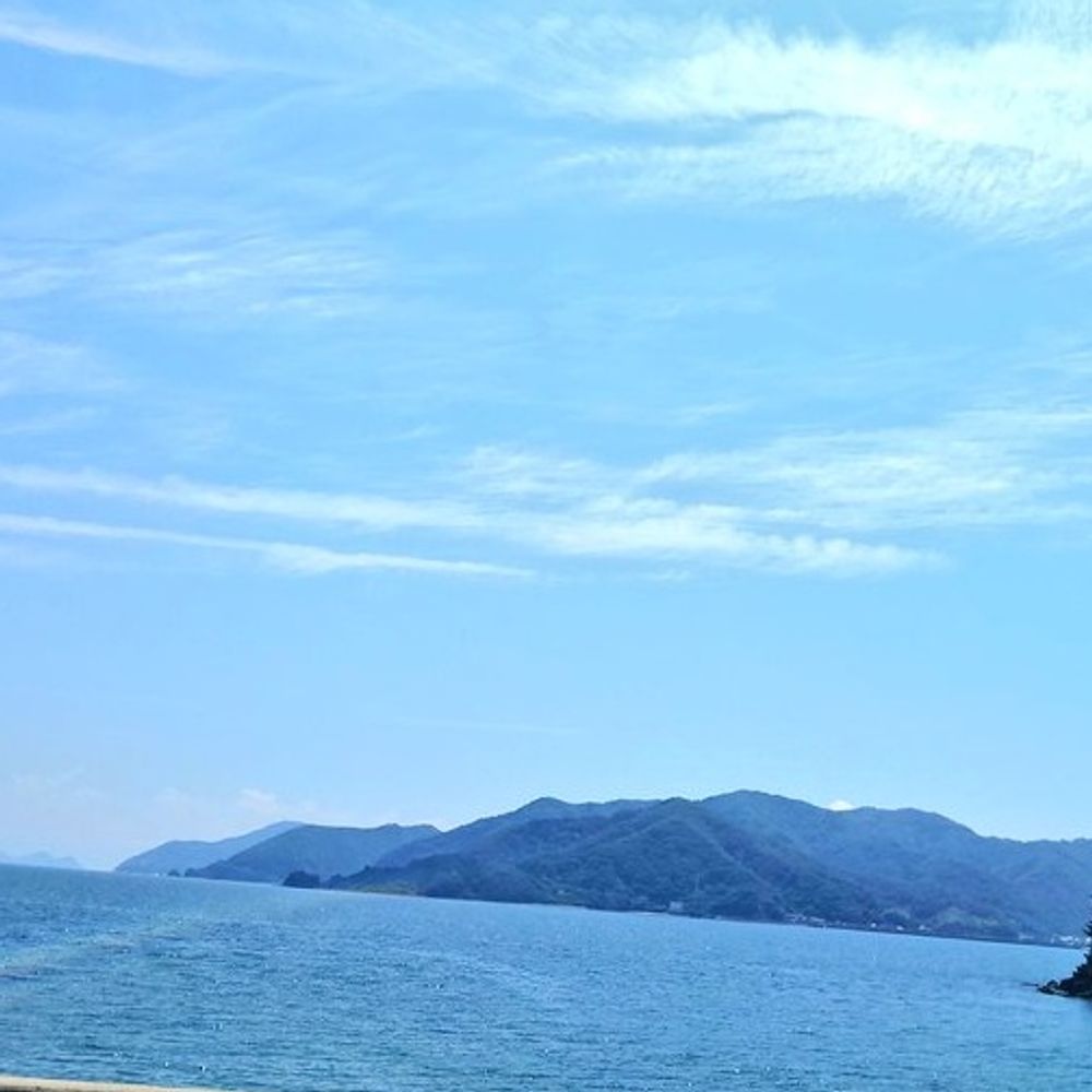 波夏