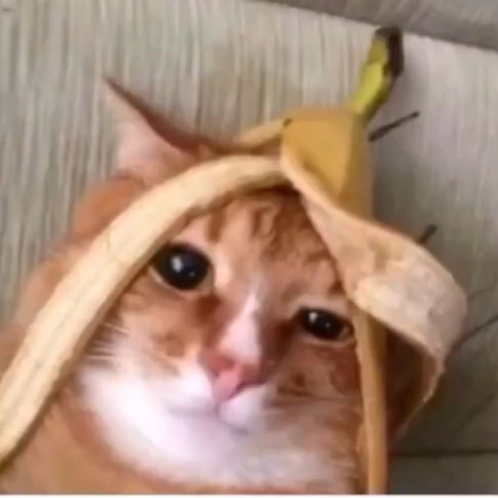mbüte