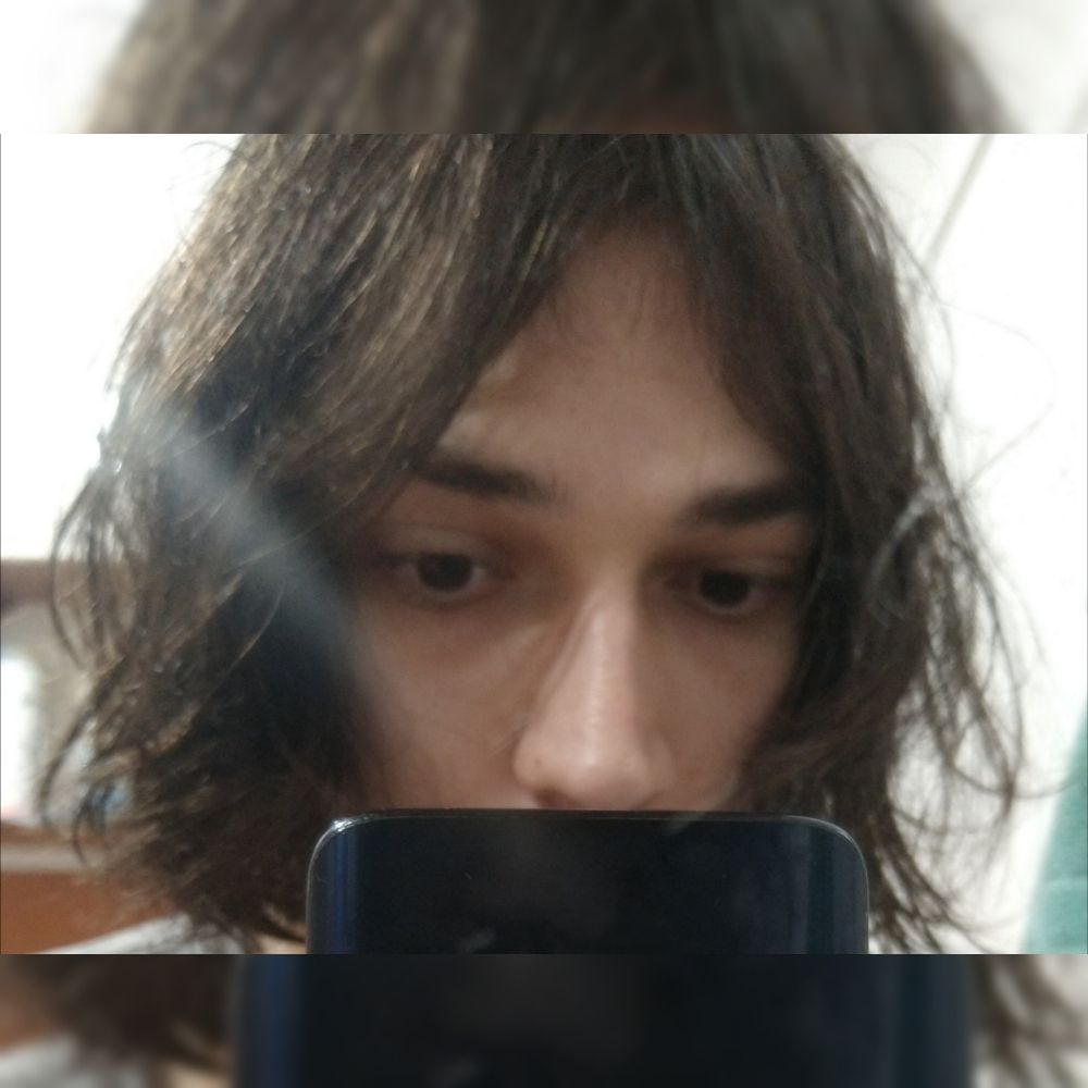 anfibioanfibio 
