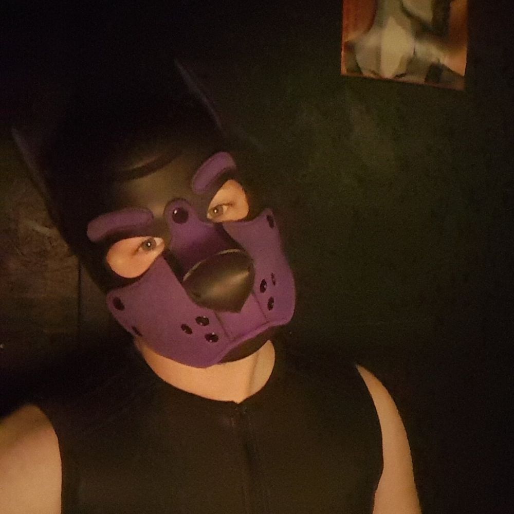 Pup Sammy
