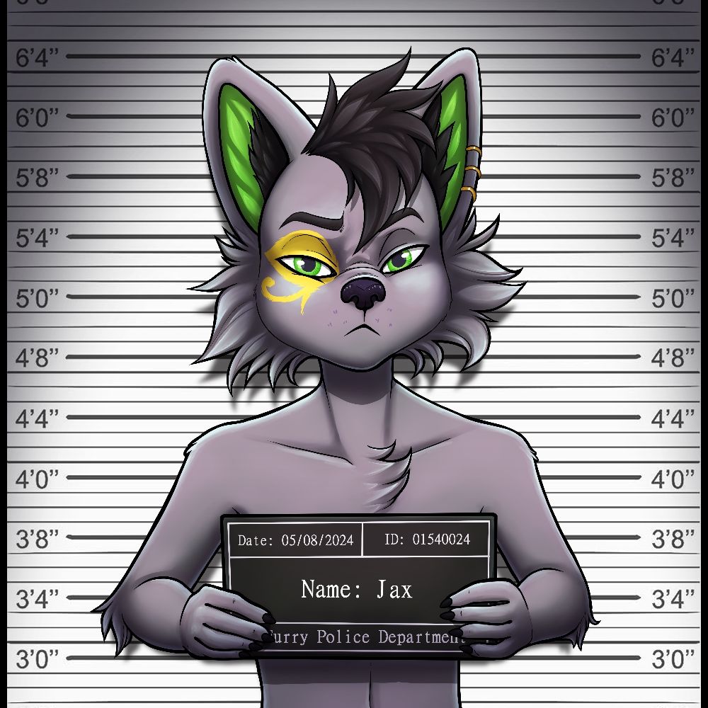 jax407.bsky.social profile picture