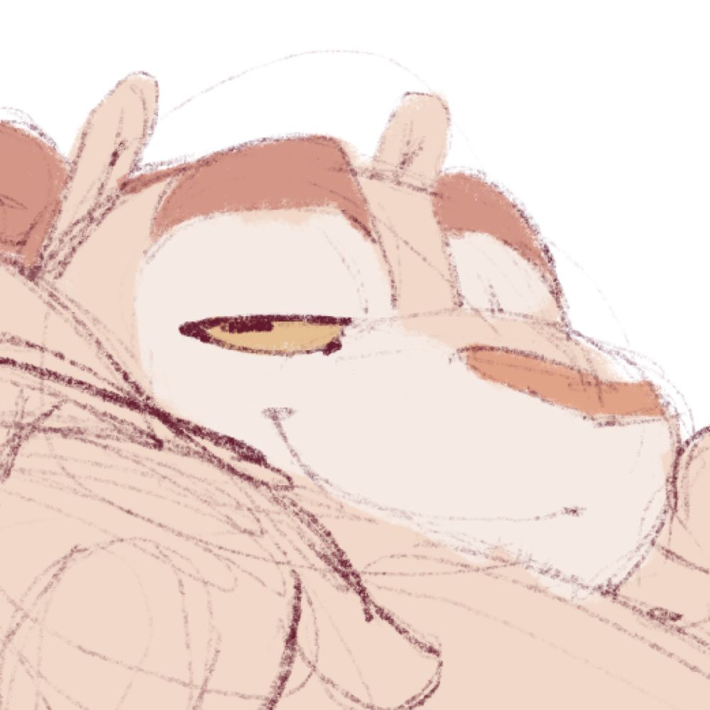 macro (COMMS OPEN)
