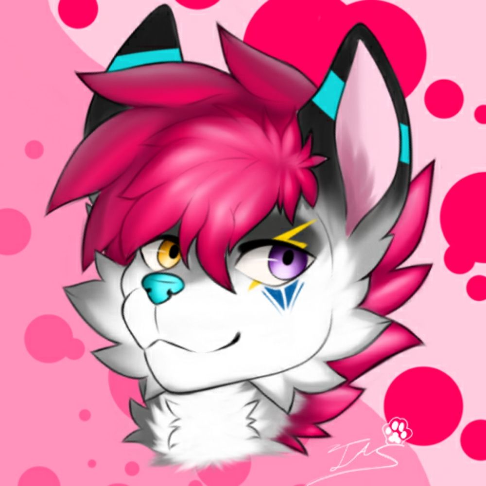 Timby Wusky :3