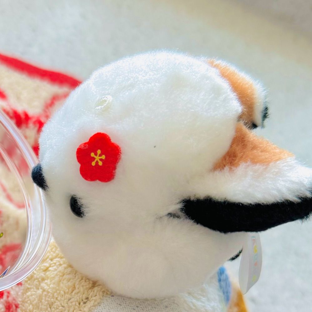 羽鳥あん🪶🎶11月16日VTuberデビュー予定！