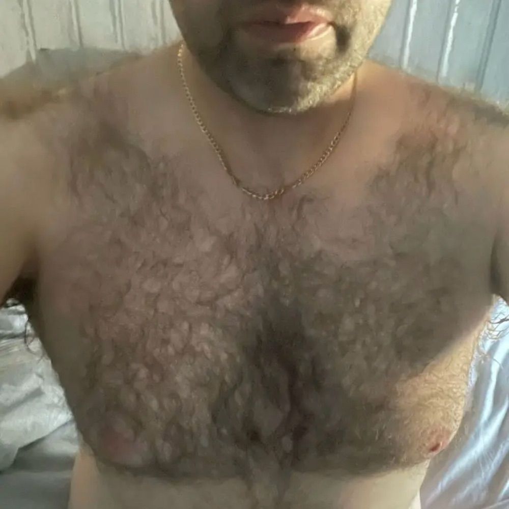 Gavlarbear