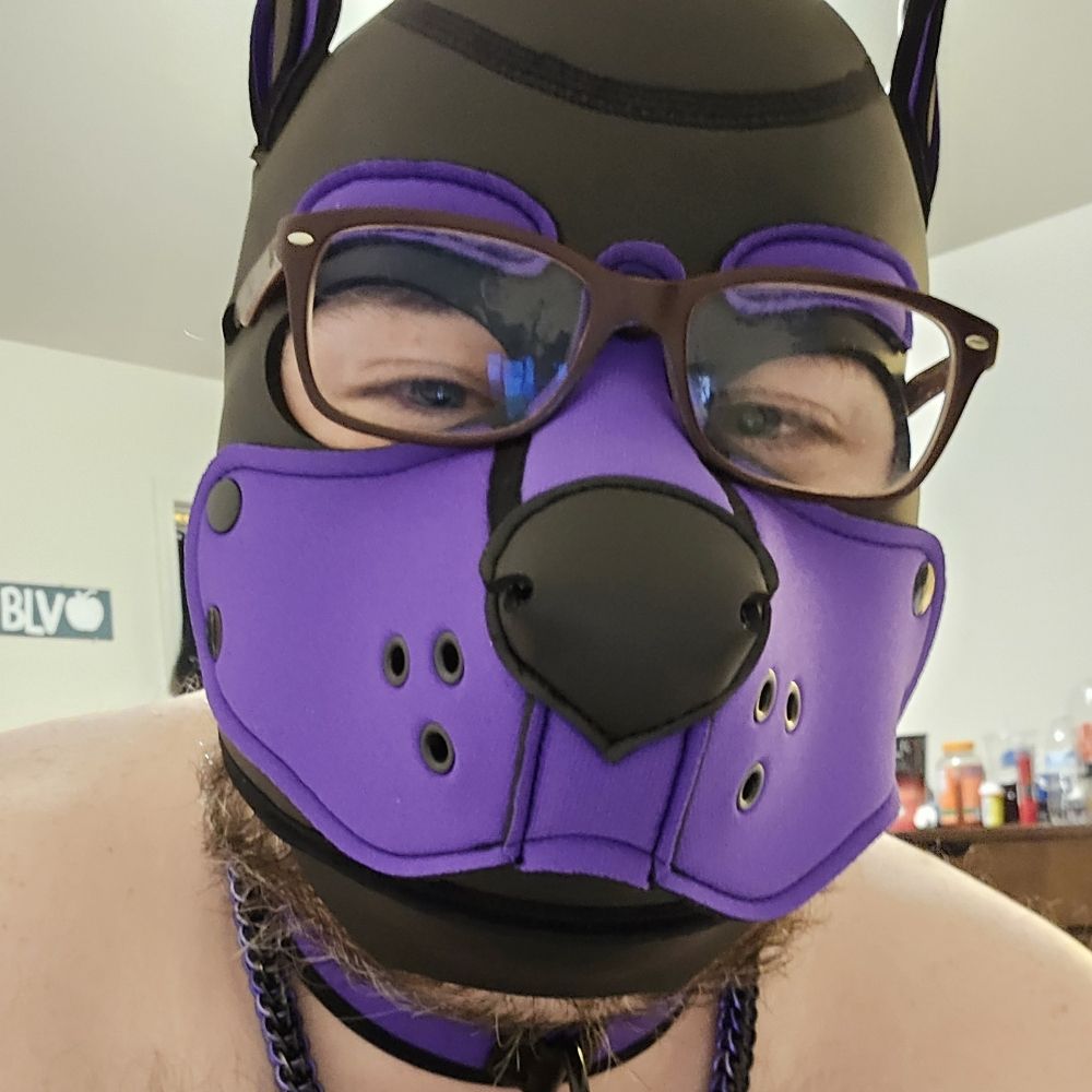 Pup Seth