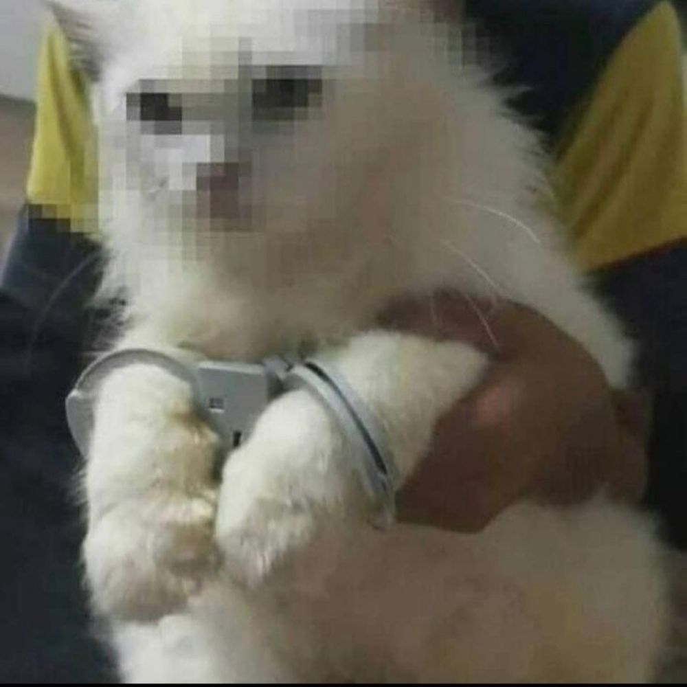 Santos