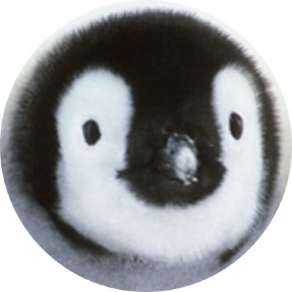 pentarouペンギンカレー