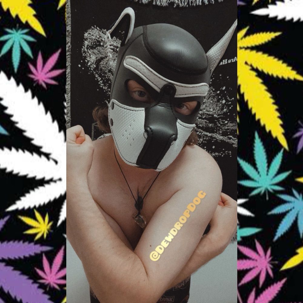 🦴 𝔻𝕖𝕨𝕪 🦴