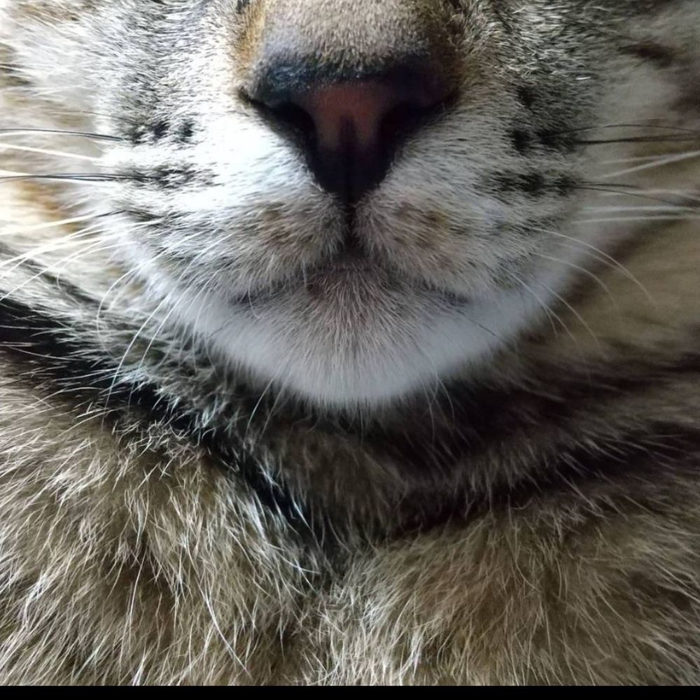 あきらちゃん