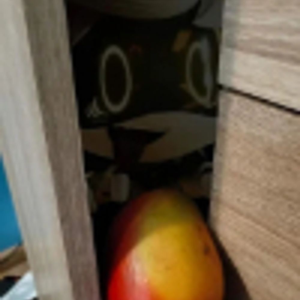 This-Mango-Has-A-Hyperfixation-