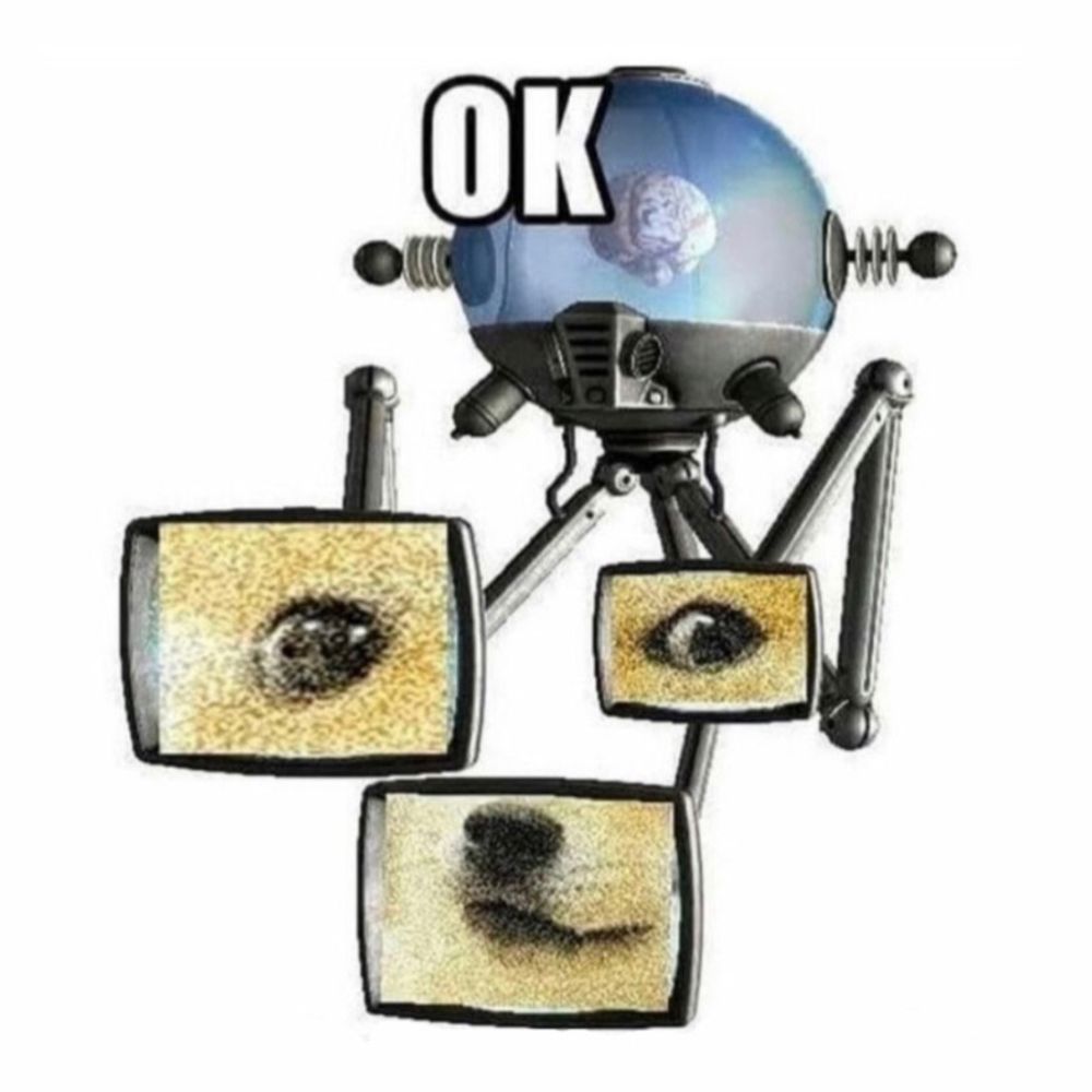 themotionwaltz.bsky.social